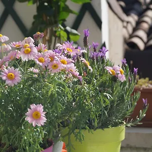  Frühstückspension In The Heart Of Italien